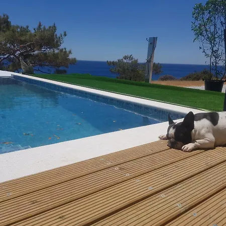 Ocean Island Bubu *